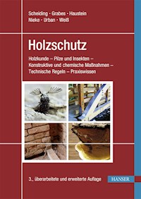 Holzschutz - Wolfram Scheiding - ebook