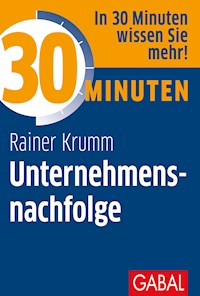 30 Minuten Unternehmensnachfolge - Rainer Krumm - ebook