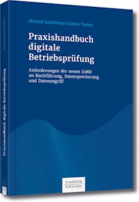 Praxishandbuch digitale Betriebsprüfung - Michael Goldshteyn - ebook