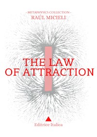 The Law of Attraction - Raúl Micieli - ebook