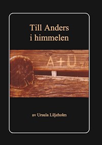 Till Anders i himmelen - Ursula Liljeholm - ebook