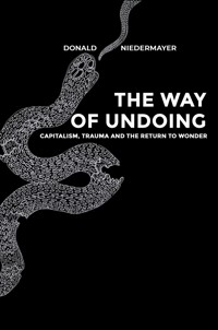 The Way of Undoing - Donald Niedermayer - ebook