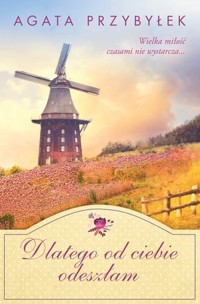 Dlatego od ciebie odeszłam - Agata Przybyłek - ebook + książka