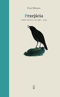 Przejścia - Mitzner Piotr - książka