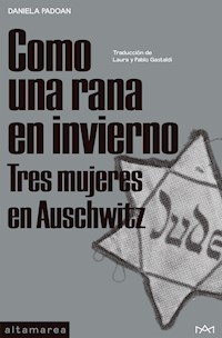 Como una rana en invierno - Daniela Padoan - ebook