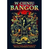 W cieniu Bangor - zbiorowa praca - książka