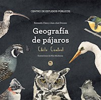 Geografía de pájaros Chile Central - Fernando Claro - ebook