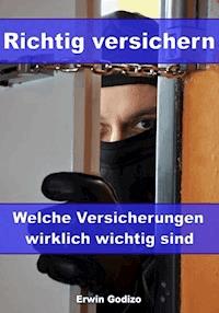Richtig versichern - Welche Versicherungen wirklich wichtig sind - Erwin Godizo - ebook