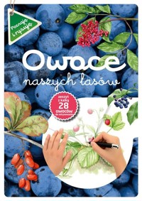 Owoce naszych lasów - Katarzyna Kopiec-Sekieta - książka