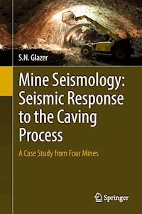 Mine Seismology: Seismic Response to the Caving Process - S.N. Glazer - ebook