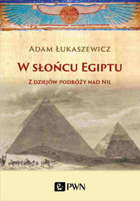 W słońcu Egiptu. Z dziejów podróży nad Nil - Adam Łukaszewicz - książka