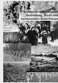 Gratwanderung zwischen Vertreibung, Flucht und existentiellen Bedürfnissen -  - ebook
