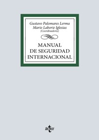 Manual de Seguridad Internacional - Gustavo Palomares Lerma - ebook