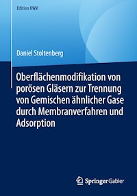 Oberflächenmodifikation von porösen Gläsern zur Trennung von Gemischen ähnlicher Gase durch Membranverfahren und Adsorption - Daniel Stoltenberg - ebook