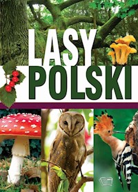 Lasy Polski - Giermek Ewa - książka