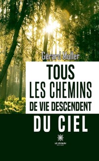 Tous les chemins de vie descendent du ciel - Gérard Muller - ebook