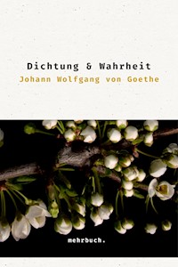 Dichtung und Wahrheit - Johann Wolfgang von Goethe - ebook