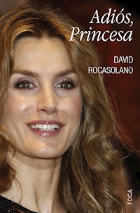 Adiós, Princesa - David Rocasolano Llaser - ebook