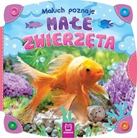 Maluch poznaje małe zwierzęta -  - książka
