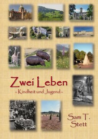Zwei Leben - Sam Thiaz Stett - ebook