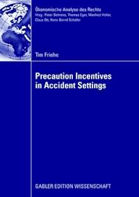 Precaution Incentives in Accident Settings - Tim Friehe - ebook