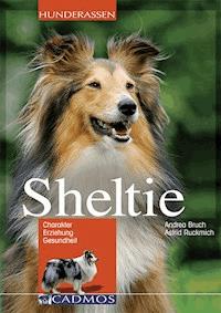 Sheltie - Andrea Bruch - ebook