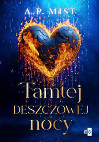 Tamtej deszczowej nocy - Mist A.P. - ebook + audiobook + książka