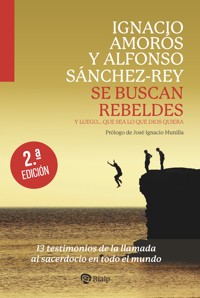 Se buscan rebeldes - Ignacio Amorós - ebook