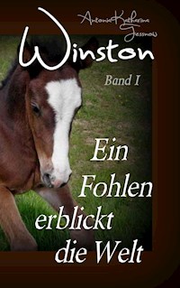 Winston - Ein Fohlen erblickt die Welt - Antonia Katharina Tessnow - ebook