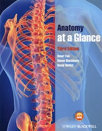 Anatomy at a Glance - Faiz Omar, Blackburn Simon, Moffat David - książka
