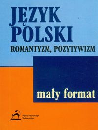Język polski romantyzm pozytywizm -  - książka