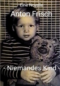 Niemandes Kind - Anton Frisch - ebook