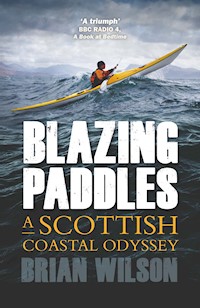 Blazing Paddles - Brian Wilson - ebook