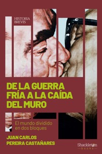 De la Guerra Fría a la caída del Muro - Juan Carlos Pereira Castañares - ebook