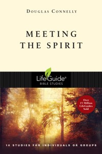 Meeting the Spirit - Douglas Connelly - ebook
