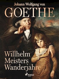 Willhelm Meisters Wanderjahre - Johann Wolfgang von Goethe - ebook