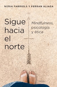 Sigue hacia el norte - Núria Farriols Hernando - ebook