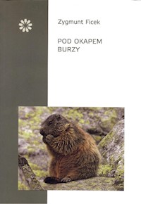 Pod okapem burzy - Zygmunt Ficek - książka