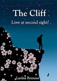 The Cliff - Larissa Brunner - ebook