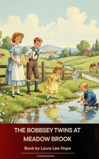 The Bobbsey Twins at Meadow Brook - Laura Lee Hope - ebook