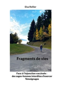 Fragments de vies - Elsa Rellier - ebook
