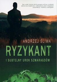 Ryzykant i subtelny urok szmaragdów - Andrzej Śliwa - książka