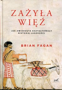 Zażyła więź - Brian Fagan - książka