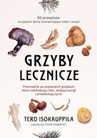 Grzyby lecznicze - Isokauppila Tero - książka