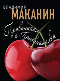 Провинциал и Провинциалка - Владимир Маканин - ebook