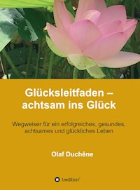 Glücksleitfaden - achtsam ins Glück - Olaf Duchêne - ebook