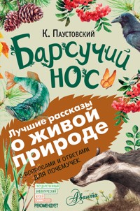 Барсучий нос - Константин Паустовский - ebook