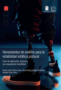 Herramientas de análisis para la estabilidad estática postural - Daissy Carola Toloza Cano - ebook