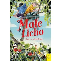 Małe Licho i lato z diabłem - Marta Kisiel - książka