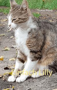 Einfach Lilly - Thomas Wenig - ebook